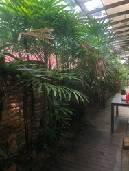 Kimsia Park (D9), Terrace #215874551